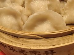 猪肉大葱-新兴园饺子馆(北京百子湾店)