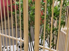 -蓉府金足印象(清江西路店)