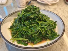 酒香金花菜-品味楼·醉卤·酱排骨·无锡特色菜