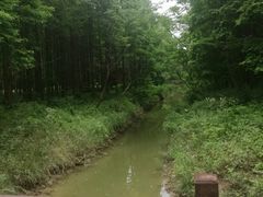 -黄海国家森林公园