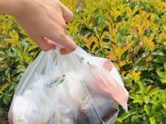 -八分场凉皮老店(正宗)