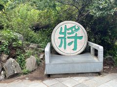 -苍山感通索道