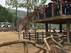 -大连森林动物园