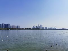 -顺峰山公园