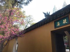 -兴福禅寺