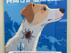 -北京观赏动物医院·24小时大型综合·猫专科·异宠专科