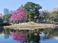-四海公园(南山区)