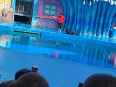 -华夏文旅海洋公园