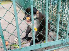 -秦皇岛野生动物园