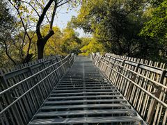 -福道