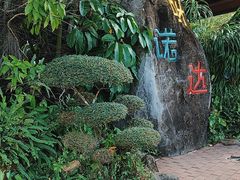 -呀诺达热带雨林