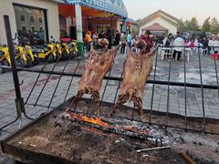 -敕勒川草原文化旅游区