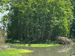 -桤木河湿地公园