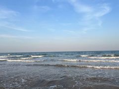 -渡海小渔村.老辈日照菜