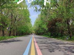 -同里国家湿地公园