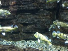 -绍兴梦享海洋公园