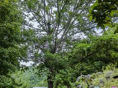 -苍龙峡风景区