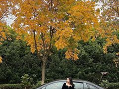 -泰州之星奔驰4S店(海陵店)