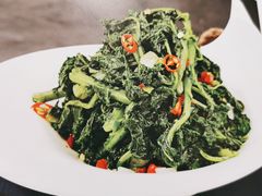 巧拌凤尾苗-粥六•新晋菜(柳巷店)