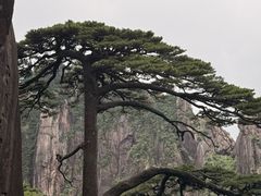 -自游人·美食一楼·地道徽菜(三十年名店)