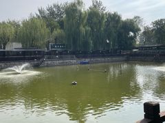 -尚庄度假村·庭台树下·户外烧烤·团建CS·轰趴营地(上庄水库店)