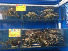 -蚝专家(北滘店)
