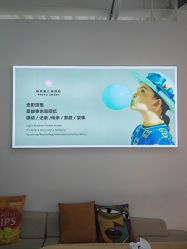 -大连棒棒糖儿童摄影(熊洞街店)