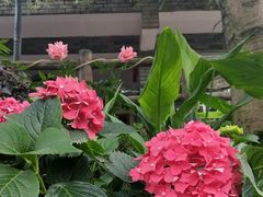 -楠柏弯休闲山庄(梨花溪店)