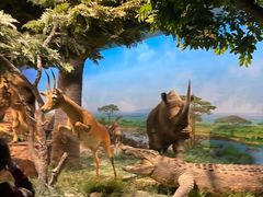 -国家自然博物馆