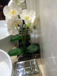 -悦己堂美容养生SPA