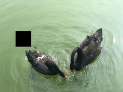 -鄱阳湖国家湿地公园