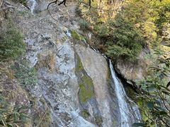 -东天目山风景区