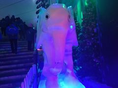 -石林冰雪海洋世界