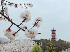 景点-云龙湖旅游景区
