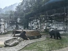 -黔灵山公园