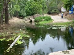 -白水寺森林公园