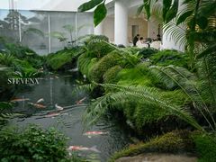 -罗红摄影艺术馆