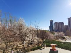 -大望京公园