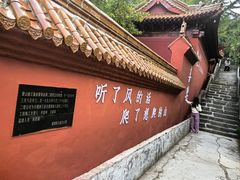 -沂蒙山旅游区云蒙景区(蒙山国家森林公园)