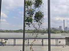 -龙美术馆(西岸馆)