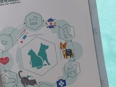 -东莞宠友24H宠物中心医院·转诊夜诊·异宠(新河北路院)