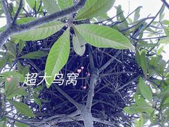 -塘栖枇杷特色园区