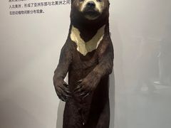 -武汉园博园(武汉自然博物馆)