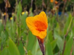 -白塘生态植物园