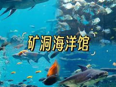 -长鹿旅游休博园