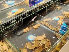 -星伦多自助料理·涮烤一体(江桥万达店)