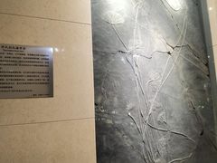 -甘肃地质博物馆