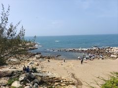 -广东惠东海龟国家级自然保护区
