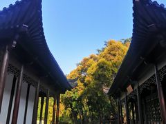 -深圳国际园林花卉博览园