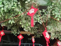 -美联众合动物医院(唯恩分院)
